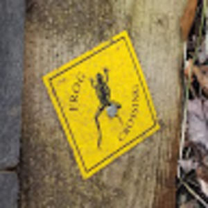 Meet your Posher, Big